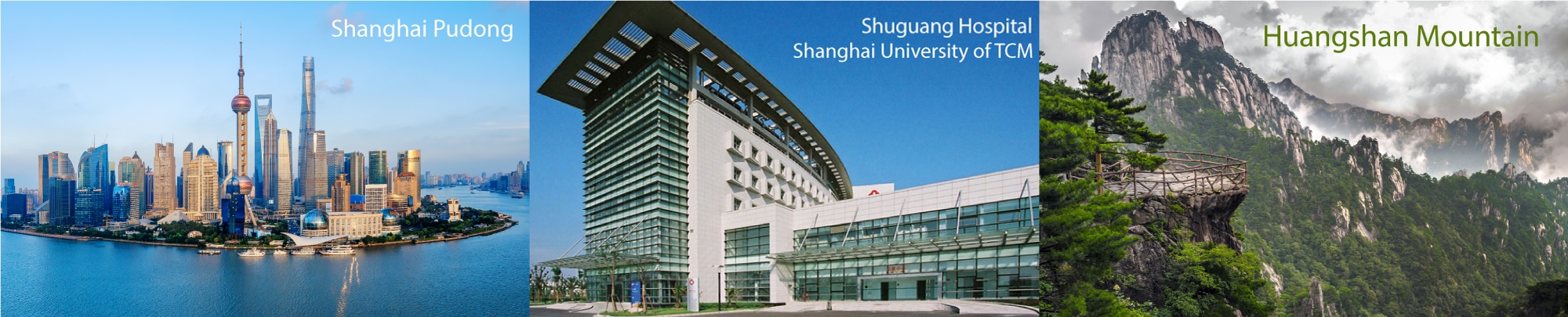 banner-for-shanghai-trip-level-2
