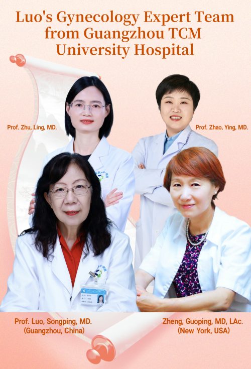 3RD ANNUAL ADVANCED WISDOM SERIES-LUO's TCM Gynecology